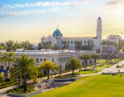 University of San Diego Summer Летний детский лагерь в университете Сан-Диего