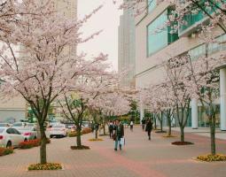 Konkuk University, Университет Конкук