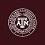 Texas A&M University in Qatar, Университет Texas A&M в Катаре