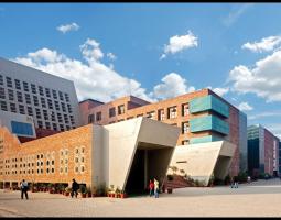 Lovely Professional University, Университет LPU