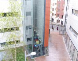 Independent College Dublin, Независимый колледж Дублина