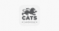 CATS College Cambridge Летний лагерь