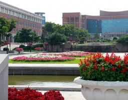 Northeastern University China, Китайский Северо-Восточный университет