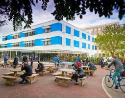CATS College Cambridge Летний лагерь