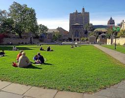 Yale University Летний языковой лагерь
