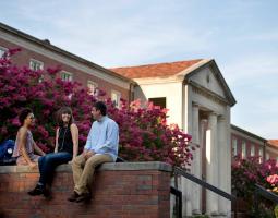 The University of Tennessee at Martin, Университет Теннесси в Мартине