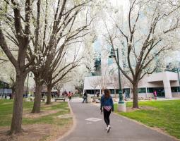 California State University-Sacramento, Sacramento State — Калифорнийский государственный университет в Сакраменто