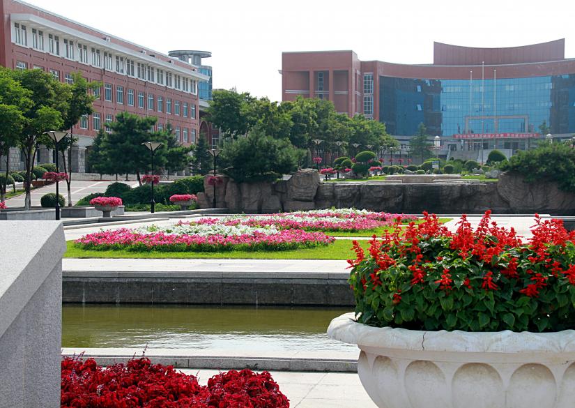 Northeastern University China, Китайский Северо-Восточный университет 0