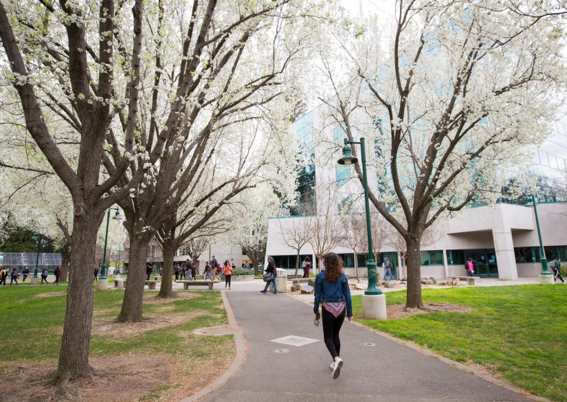 California State University-Sacramento, Sacramento State — Калифорнийский государственный университет в Сакраменто 0