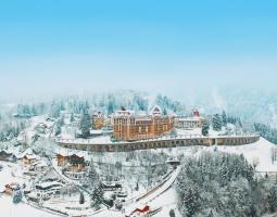 Swiss Hotel Management School  (SHMS) Caux — Школа отельного менеджмента в Ко