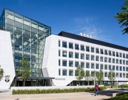 University College Dublin Летний лагерь