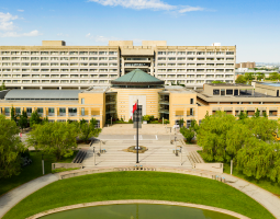 York University Toronto Летний лагерь York University Toronto