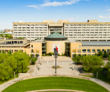 York University Summer, Летний лагерь
