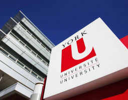 York University Summer, Летний лагерь