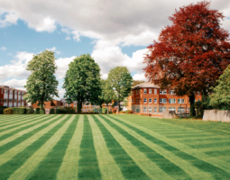 Sutton High - London - Дневной лагерь