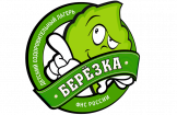 Лого Детский оздоровительный лагерь «Берёзка»