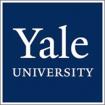 Лого Junior Summer Yale University Летняя школа в Йельском университете