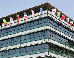 CEFAM International School of Business and Management, Международная школа бизнеса и менеджмента CEFAM