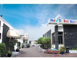 New Dubai Nursery, Частная подготовительная школа в Дубае