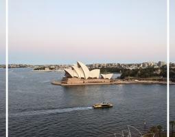 Summer School in Sydney, Летняя школа в Сиднее