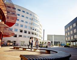 Jönköping University Йёнчёпингеский университет
