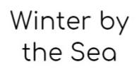 Лого Winter by the Sea, Зимняя школа, Брайтон