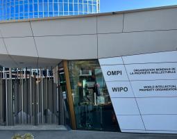 Swiss School of Business and Management Geneva (SSBM), Швейцарская школа бизнеса и менеджмента в Женеве