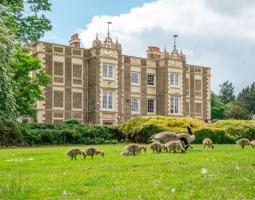 Rose Bruford College Summer Camp, Летний лагерь Rose Bruford College