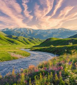 Летний Алтай: Природа, отдых и гастрономия