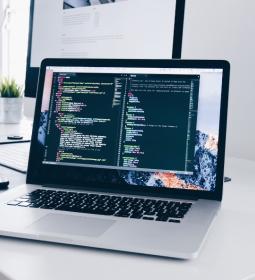Самые актуальные IT-профессии, которые стоит освоить в 2024 году