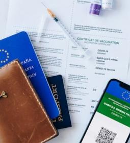 5 изобретений эры коронавируса, которые спасли турбизнес