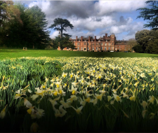 Cobham Hall Summer Camp, Летний лагерь в школе Кобэм-Холл