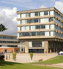 Программа "Политика и международные отношения" в Essex International College