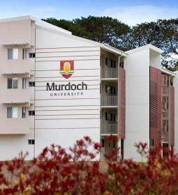 Murdoch University Dubai предоставляет 50% стипендию!