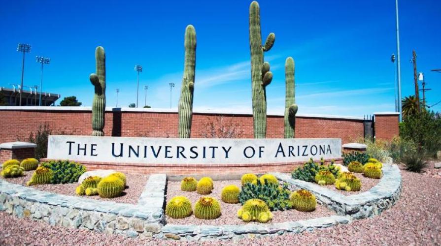 Успейте поступить в ведущий университет США - University of Arizona!
