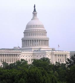 5 причин учиться в США — и 4 совета, как этого добиться