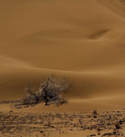 Топ-10 самых сухих стран на Земле