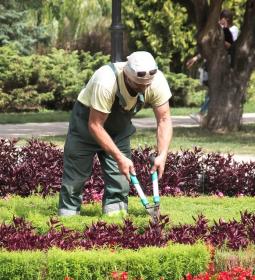 Уехать за рубеж без образования: 10 профессий за границей, для которых не нужно учиться