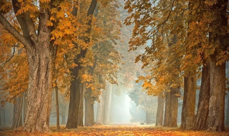 5 самых красивых мест Сахалина для осенних фото