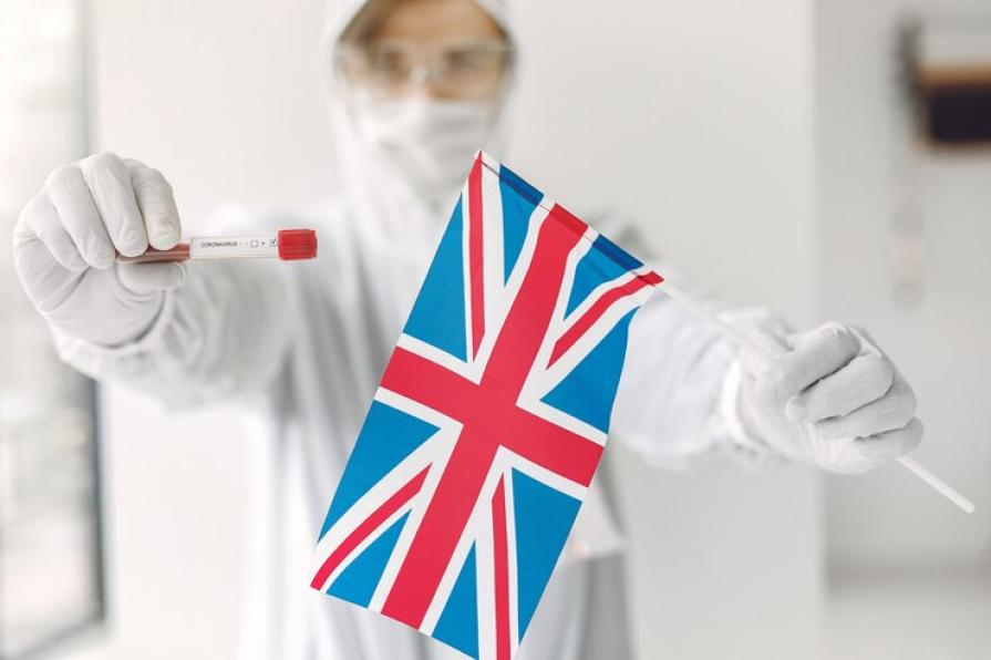 Всё о медицинском образовании в Англии и Британии: структура и особенности