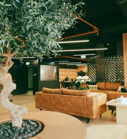 ES DUBAI, школа английского языка для иностранных студентов предлагает Новые Акции!