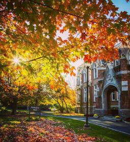 Скидки на обучение в INTO New York Drew University