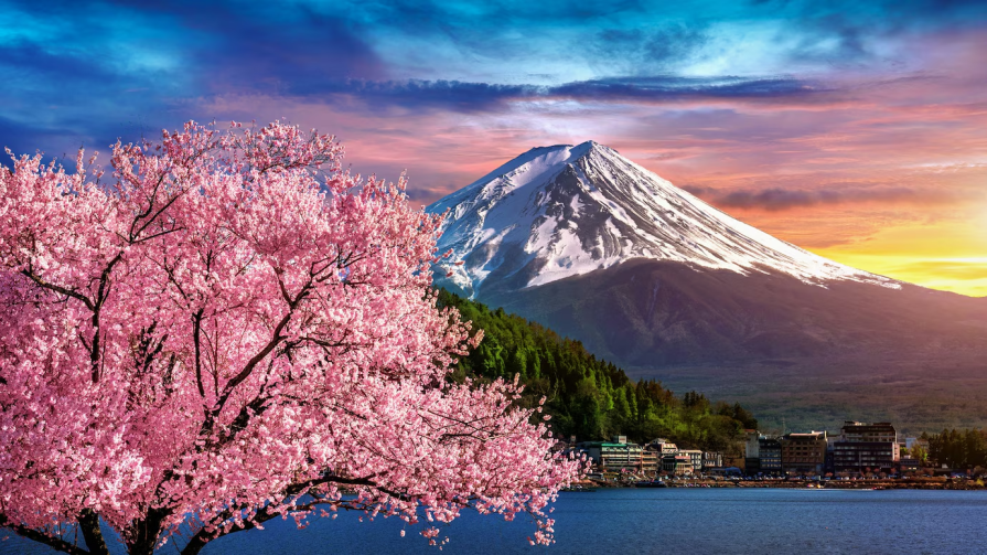 How to enter a Japanese university and not go crazy