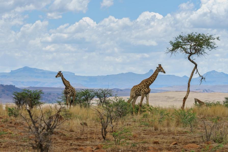 TOP most undemanding routes among tourists