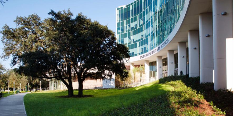 TOP-4 best universities in Tampa, Florida 2026 Rankings