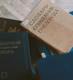 Русский говор: безграмотность или уникальный диалект?