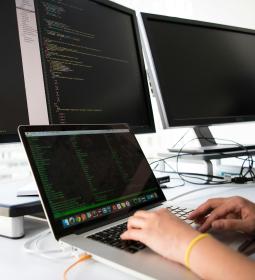 Совместный проект студентов ВШЭ с отрядом «Лиза Алерт» при поддержке Билайн получил американскую премию