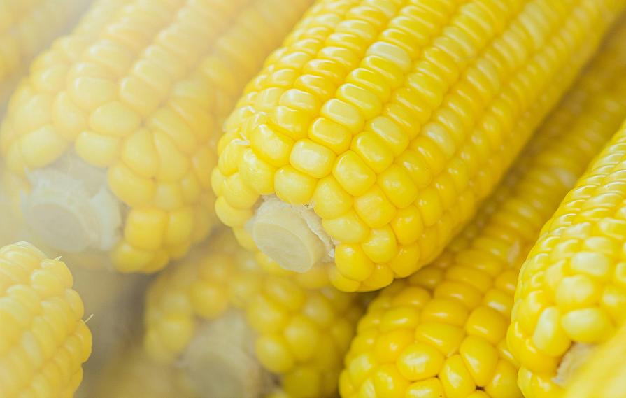 Что такое румынская кухня? Инструкция к применению