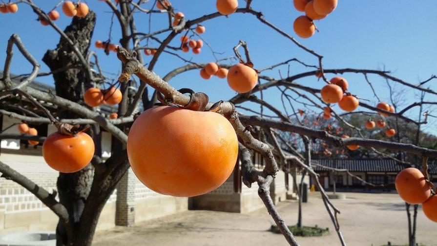 FAQ: Мадагаскарская кухня