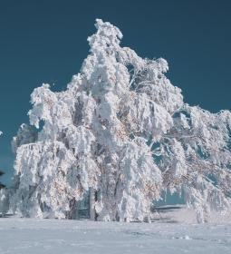 12 фактов о Норильске, холодном сердце России
